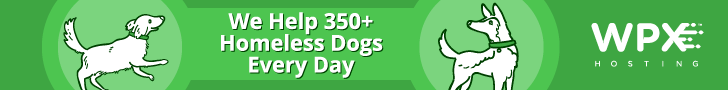 wpx hosting helps homeless dogs